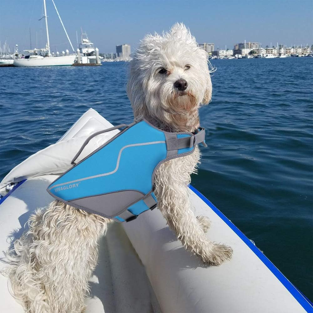 Neoprene Dog Life Jacket Puppy Life Vest for Boating Hunting & Swimming, Lightweight with Leash Ring, XS, Blue
