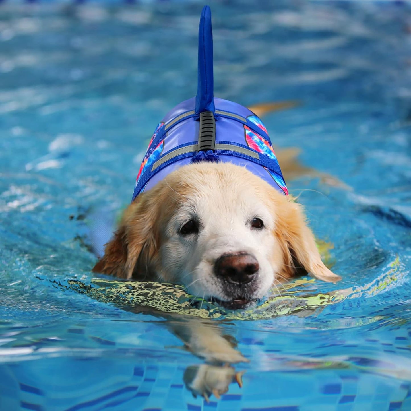 Dog Life Jacket - Pet Safety Vest for Swimming & Boating, Shark Life Jacket with Floatation, Dog Lifesavers Swimsuits for Small Medium Large Dogs