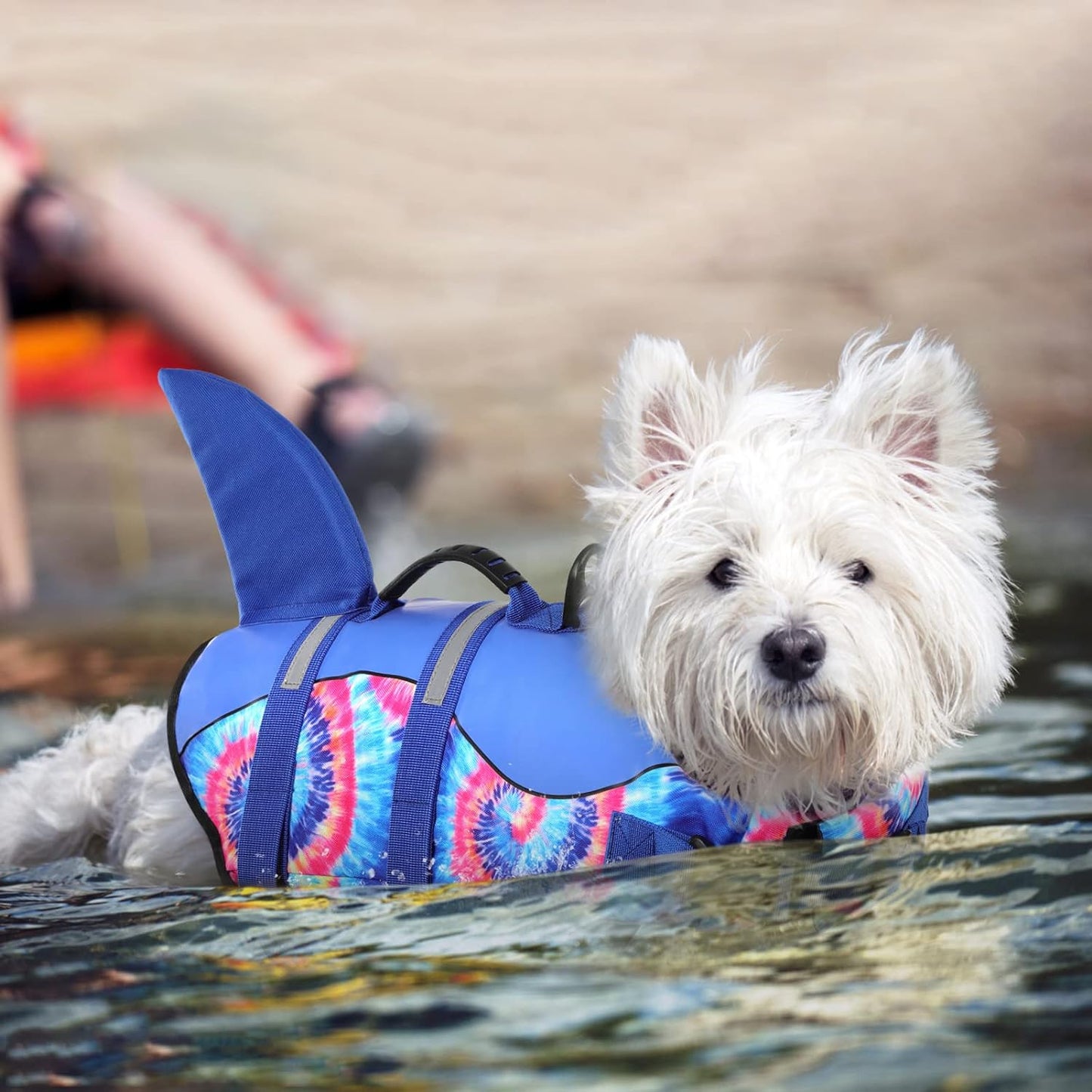Dog Life Jacket - Pet Safety Vest for Swimming & Boating, Shark Life Jacket with Floatation, Dog Lifesavers Swimsuits for Small Medium Large Dogs