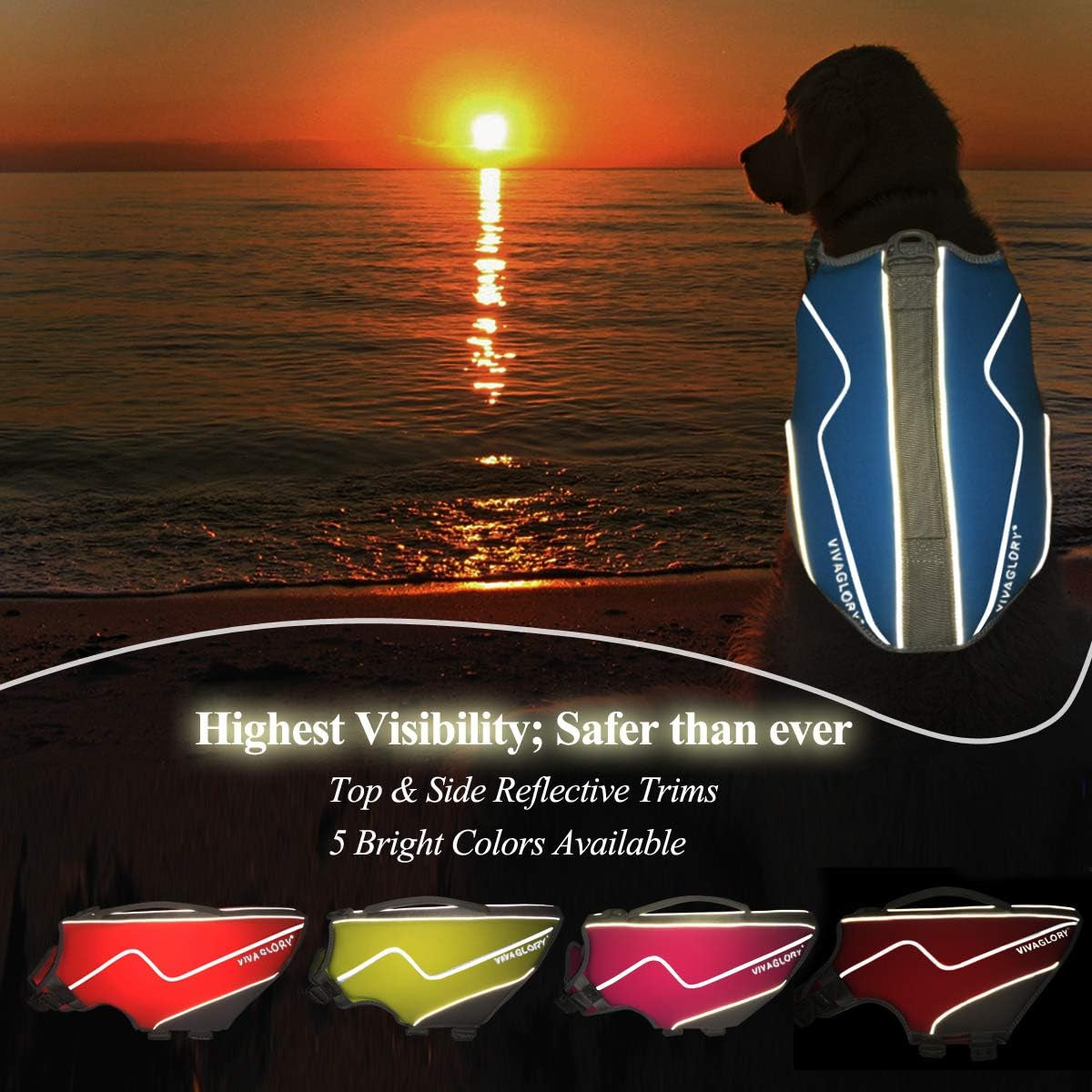 Neoprene Dog Life Jacket Puppy Life Vest for Boating Hunting & Swimming, Lightweight with Leash Ring, XS, Blue